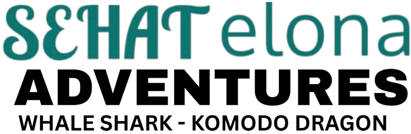 Sehatelonaadventures.com