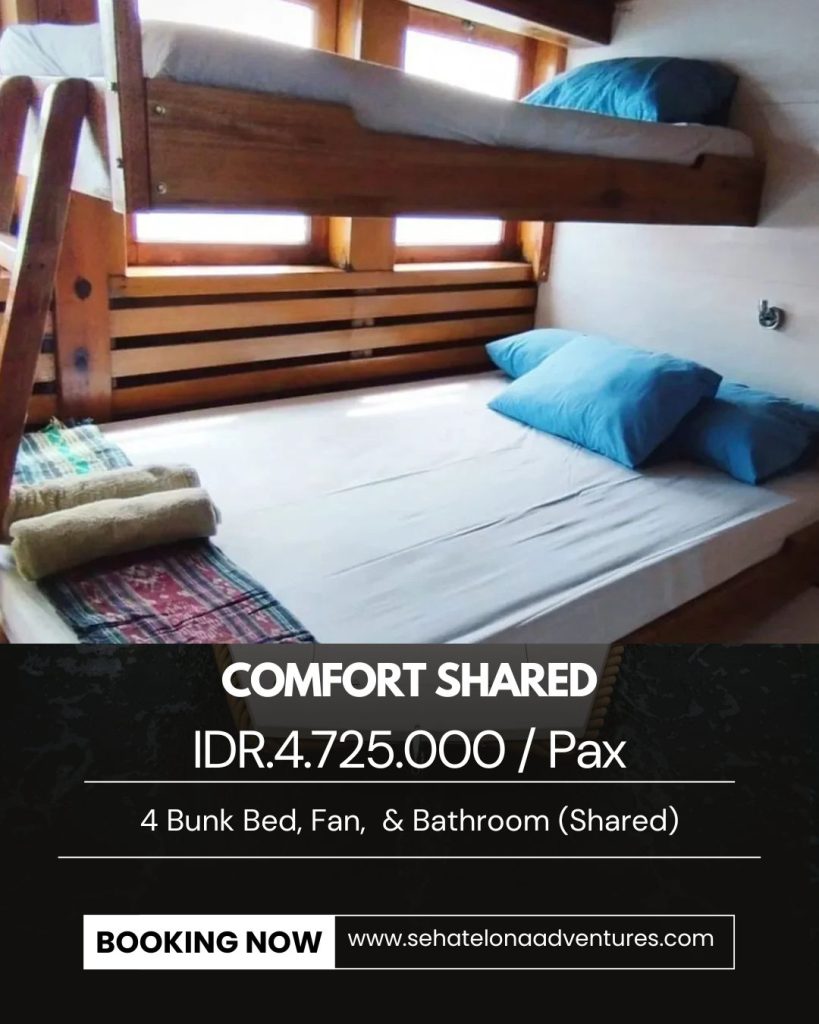 Comfort Shared Komodo to Lombok Room