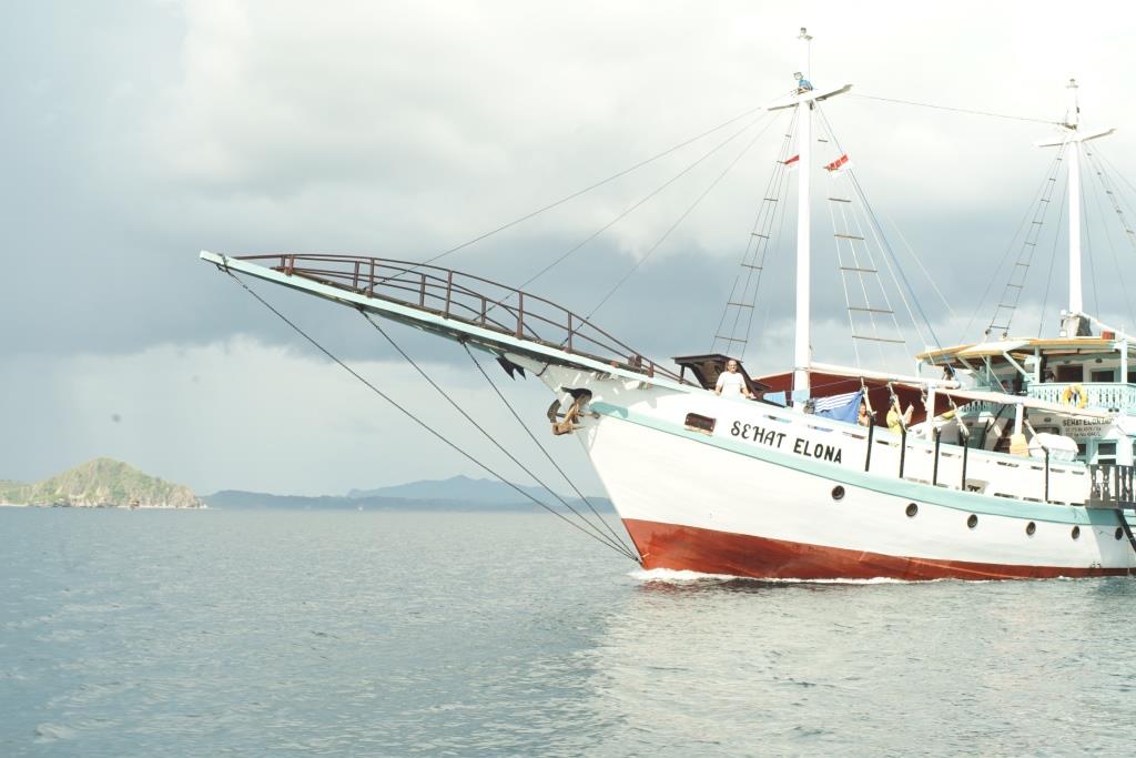 Komodo Tour From Lombok