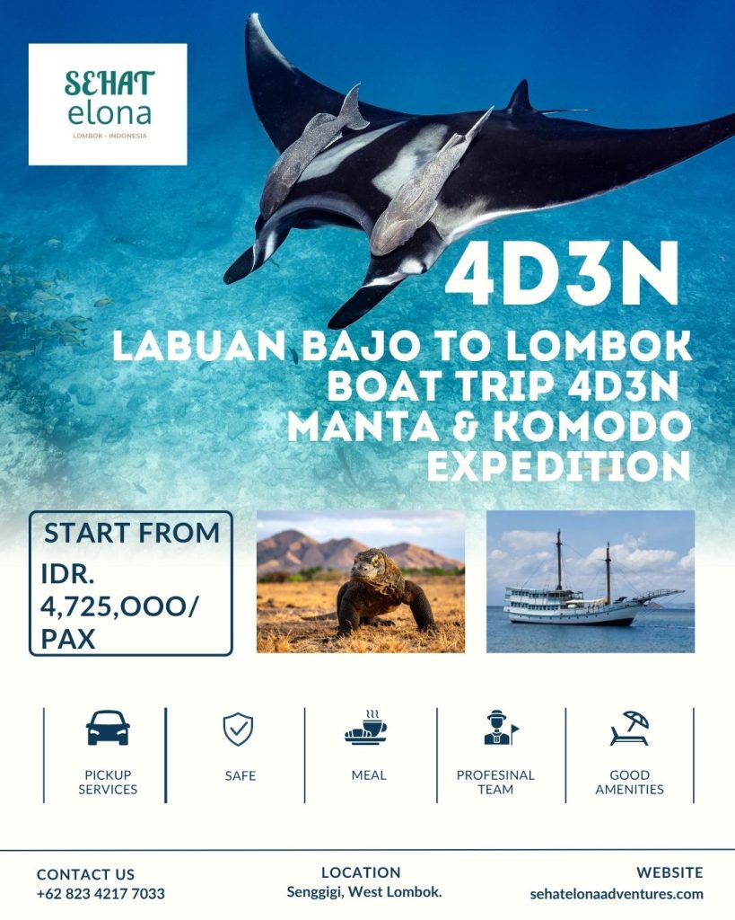 Labuan Bajo to Lombok Boat Tour