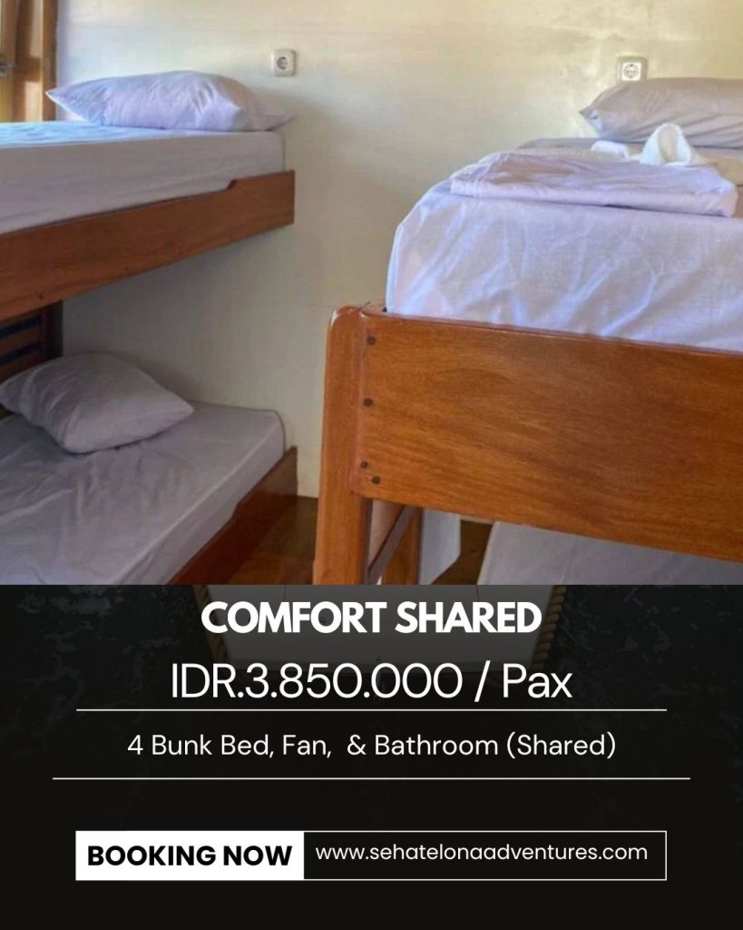 Room For Sumbawa Whale Shark Boat Tour
