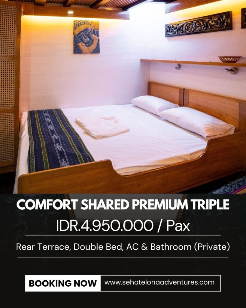 Room For Sumbawa Whalw Shark Boat Trip