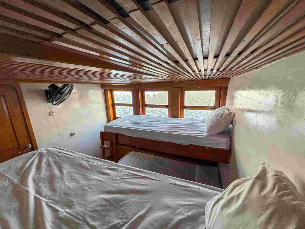 Comfort Shared Room Sehat Elona Adventures Phinisi